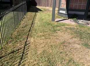 Susan D.'s Lawn Maintenance service result