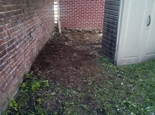 Cleanups by Charles Pease for Paul O. in Philadelphia, PA