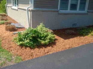 Cleanups by Alexis Aviles for Kevin C. in Mount Prospect, IL