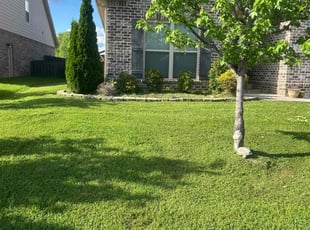 Shawn H.'s Lawn Service service result