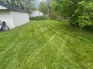 Cleanups by Kyle Yacko for Christopher T. in Roseville, MI