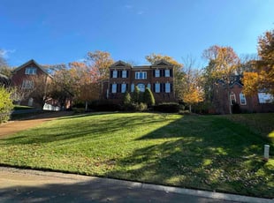 Rita A.'s Lawn Mowing service result