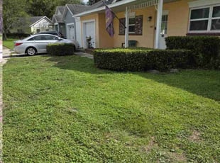 Bush Trimming by Leandro Lobo for Jose C. in Orlando, FL