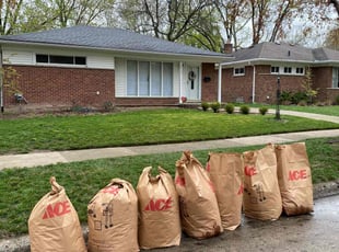 Leaf Removal by Alvin Walk for Geena H. in Oak Park, MI