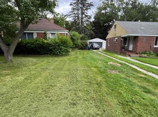 Cleanups by Brandon Dickerson for Malcolm H. in Redford Charter Township, MI