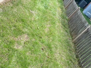 Cleanups by Michael Slater for Jonathan H. in Raleigh, NC
