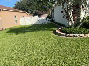 Todd R.'s Lawn Maintenance service result