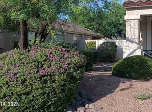 Bush Trimming by Carl Smith for Aaron O. in Goodyear, AZ