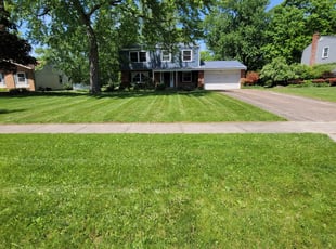 Chris B.'s Lawn Mowing service result