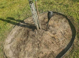 Cleanups by Edgar Davila for Sabrina T. in Katy, TX