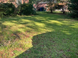 Pat G.'s Lawn Care service result