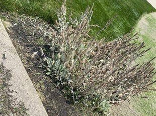 Cleanups by Jared Clapsaddle for Flip R. in Springboro, OH
