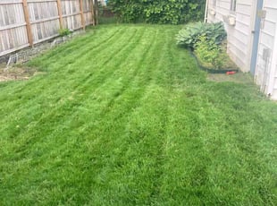 Weeding by Kenneth White for Nishi P. in Buffalo, NY
