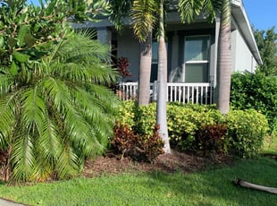Weeding by Curtis Crawford for Sue C. in Apollo Beach, FL