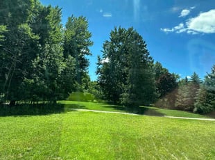 Janeen C.'s Lawn Maintenance service result