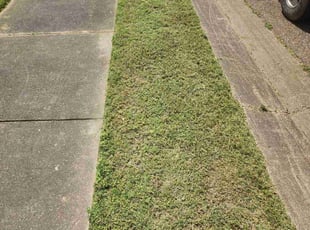 Adam C.'s Lawn Care service result