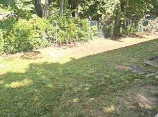 Leaf Removal by Ladarron Black for Carl W. in Langhorne, PA