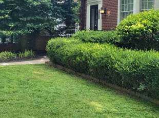 Sarah C.'s Lawn Care service result