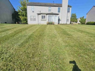Debby K.'s Grass Cutting service result