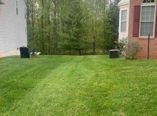 Jeannette T.'s Lawn Care service result
