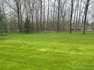 Braheam B.'s Lawn Mowing service result