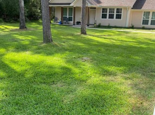 Patricia D.'s Lawn Maintenance service result
