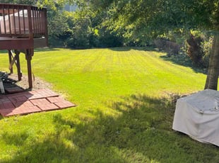Doat D.'s Lawn Maintenance service result