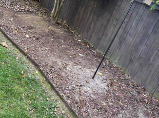Weeding by Jeff Foster for Alan C. in Charlotte, NC