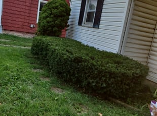 Bush Trimming by Chris Steinhour for Mark W. in Columbus, OH
