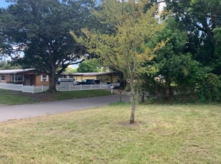Bush Trimming by Carlos Martinez for Deborah L. in Orlando, FL