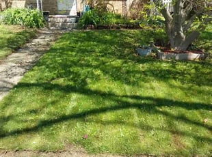 Kyle L.'s Lawn Maintenance service result