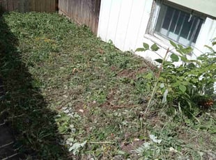 Cleanups by Kevin Rhyne for Jen O. in Madison, WI