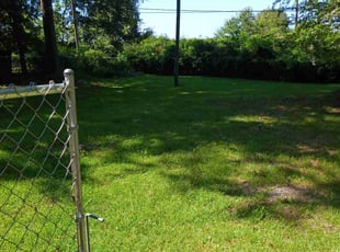 Shantell B.'s Lawn Mowing Service service result