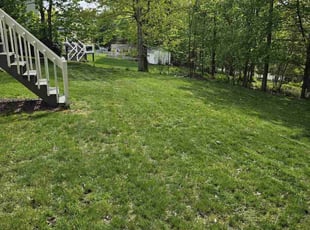 victoria s.'s Grass Cutting service result