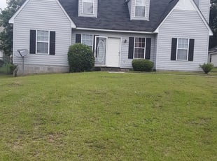 Bush Trimming by Byron Harrison for Brevlyn B. in Hopkins, SC