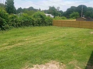 Bush Trimming by Jay Miller for Melvin W. in Olive Branch, MS