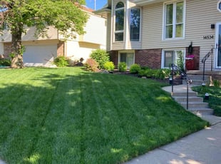 Reginald L.'s Lawn Care service result