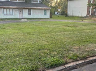 Valeria S.'s Lawn Care service result