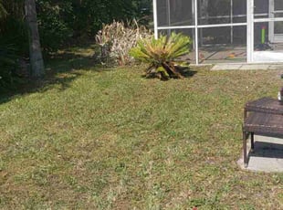 Leaf Removal by Curtis Campbell for Kyrah E. in Lakewood Ranch, FL