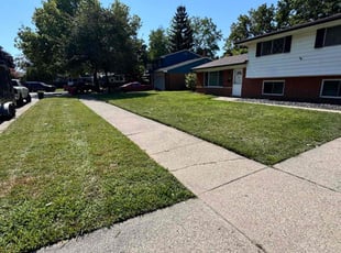 Lily E.'s Lawn Mowing service result