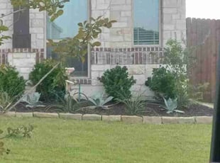 Cleanups by William Zielinski for AJ J. in Burleson, TX