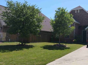 Michael J.'s Lawn Mowing service result