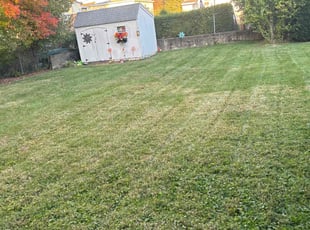 Carey H.'s Lawn Service service result