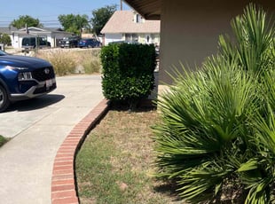 Bush Trimming by Enoc Espinoza for Katharine B. in San Bernardino, CA