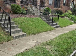 Majel R.'s Lawn Care service result