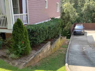 Bush Trimming by Antavious Douglas for Lakeem G. in Atlanta, GA