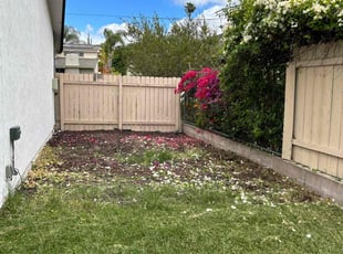 Landscaping by Josh Scott for Daniel C. in San Diego, CA