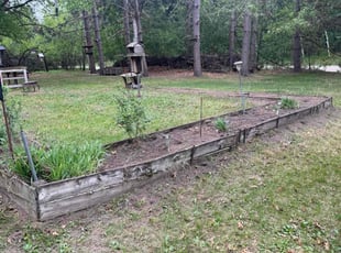 Weeding by Jenna Magnuson for Suzann M. in East Bethel, MN