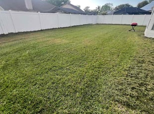 Jona S.'s Lawn Mowing service result