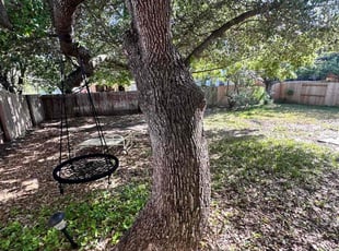 Leaf Removal by Jesus Cepeda for Gilbert E. in Cedar Park, TX